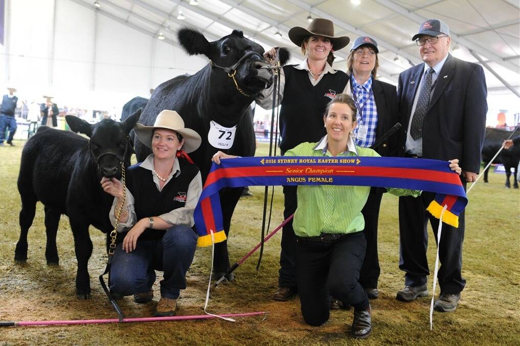Belinda Dockrill, Clouass Pine Creek Angus, Chrissie Kennedy, Cooma with exhibit 72 PC Miss Shiraz sashed by Annie Scott, Karoo Angus, Bathurst and part owners Rachael Wyllie and Richard Hassell UK
