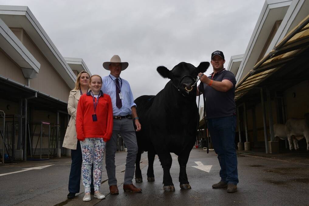 Buyers of the $16,000 top-priced bull at the Sydney Angus Bull and Female Sale, Premier Braveheart H46, Sandra and Richard Retallack, Glengowan Angus,  Newbridge, pictured with their daughter, Isabella, the bull, and Stuart Geard, Premier Angus, Joadja.