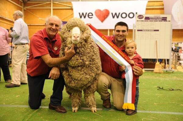John and Greg Alcock with Greg's son Ben, 2.5, and the supreme junior Merino- a two-tooth ram Greenland Kato 2366. Photo: Rachael Webb.