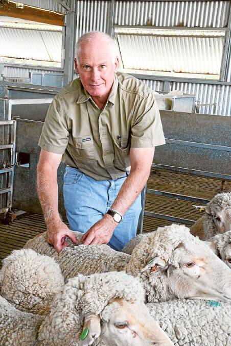 Manager and classer of Merinotech (Western Australia) Ltd Ian Robertson, Merinotech stud, “Yarrak”, Kojonup, Western Australia, has 74 measurements of every sheep on the property.