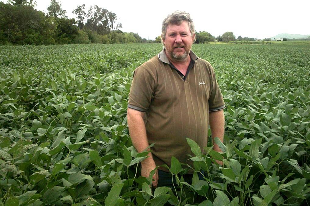 Clarence River soybean grower Shane Causley in his Chatsworth Island soybean crop. Mr Causley was one of the 2014 soybean crop winners.
