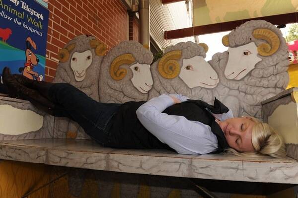 After a couple of big days in the Merino show ring it was time for some rest and relaxation.