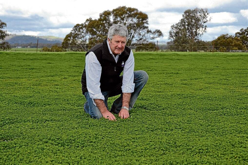 NSW Department of Primary Industries extension adviser Frank McRae, Forbes, says sub clover Riverina is underrated.