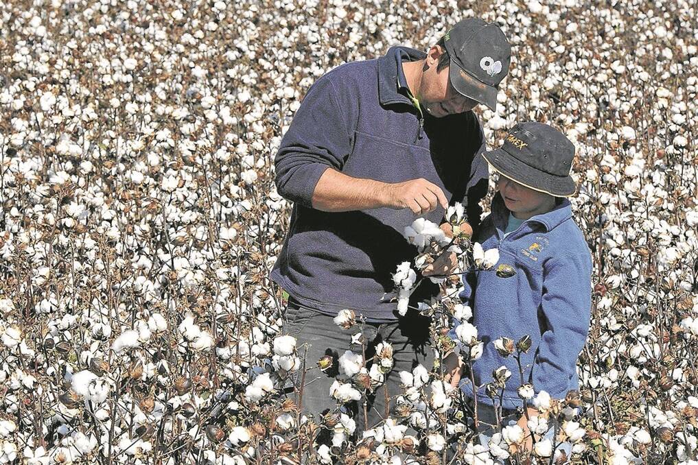 Troy Griffiths and his son Lockie, 11, in his school holidays helping his dad check BRF74 bollgard cotton on "Farm 77" at Coleambally.