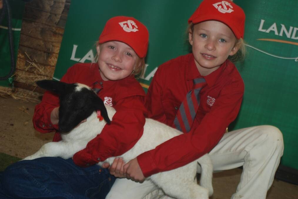 Alex Letts and Charlotte Cooper,  Gunnedah South Public School help out by holding a Dorper lamb during judging.