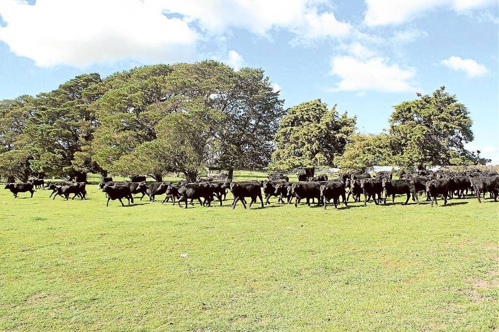 With an estimated carrying capacity of 500 breeding cows or 10,000 DSE, "Silverton" offers scale in the sought-after district between Goulburn and Crookwell. 