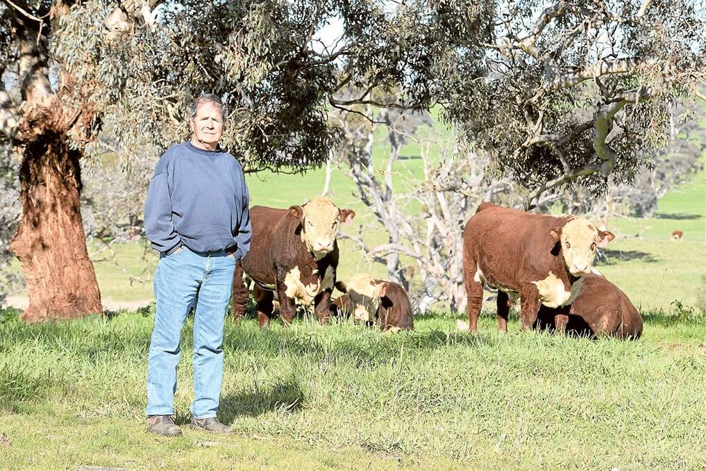 Bob Nadar, Yass, will disperse his entire Bahloo Poll Hereford stud on June 23.
