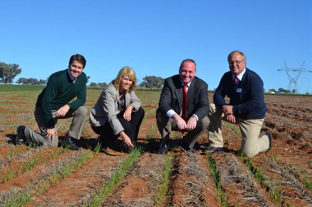 Tamworth MP Kevin Anderson, NSW Primary Industries Minister Katrina Hodgkinson, Agriculture Minister Barnaby Joyce, and Grains Research and Development Corporation chair Richard Clark.