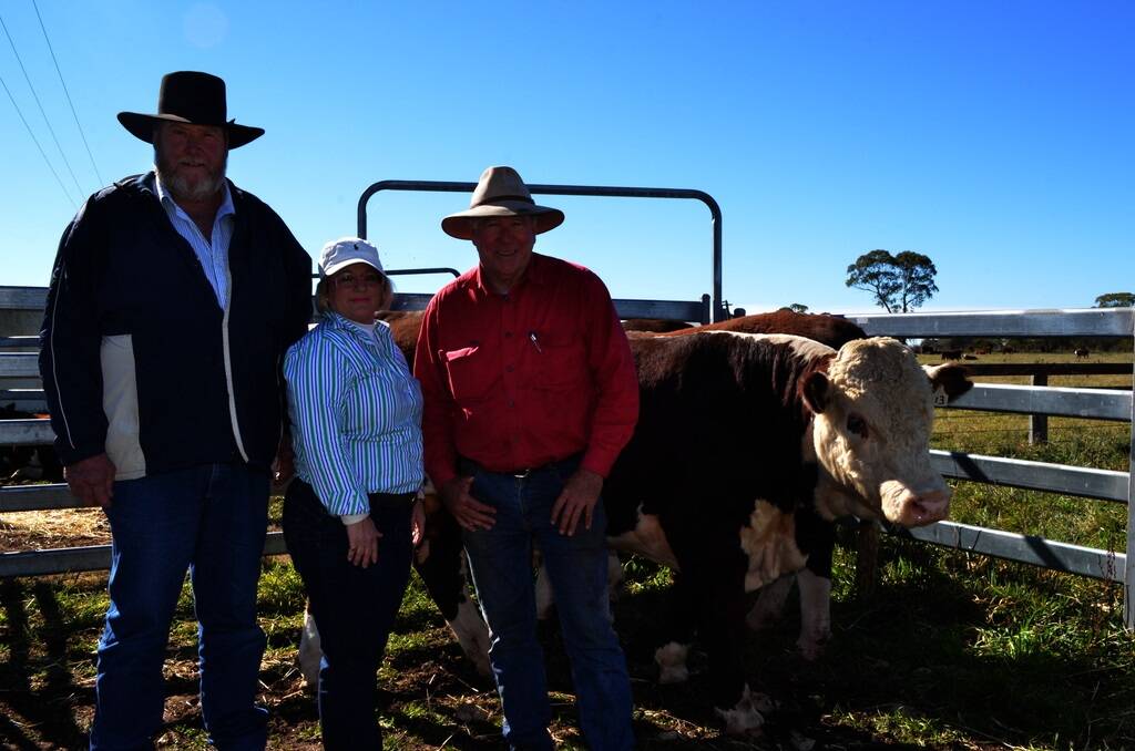 Tirranna Herefords, Glen Innes, welcomed a steady trickle of visitors at their open day at "Cowdenbeath". On offer were 12 sale bulls, with six of those sold on the day. Visitor Tony Holliss, Lotus Herefords, "Old Farm", Pinkett is pictured with Tirranna stud principals Belinda and Mike Norton.