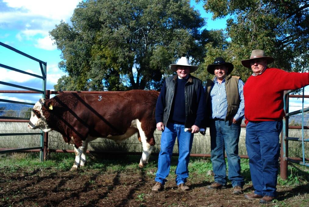 LEFT: Barana Simmentals principal Peter Cook, Coolah with buyers  Daniel Stephens and Richard Whiteman, both of Cobar, and the equal top priced bull Barana Gulliver G207 which sold for $9000 at the 2013 sale.