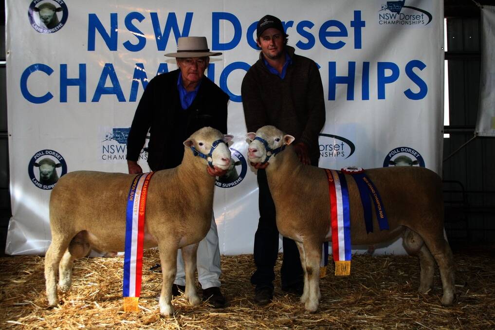 Springwaters Poll Dorset Stud, Boorowa, won both the grand champion Poll Dorset ram (right) with their junior champion and reserve grand champion ram with their senior champion. Pictured holding the rams were principals Dennis and Dane Rowley.