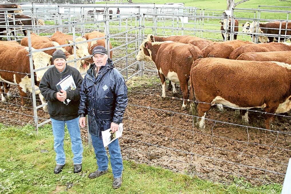 Bahloo Poll Herefords principal Bob Nader, with Ross Robertson, representing JWR Stud, Goulburn. Jemma Welsh Robertson and Tim Reid, JWR Poll Herefords, purchased the top priced cow and calf at $5750.