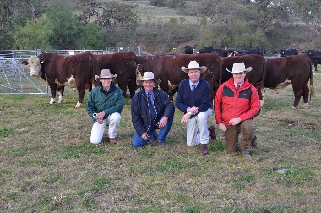 Joel Fleming, Landmark Stud Stock, Tamworth; Jack Smith, Cascade Poll Herefords and Angus, Currabubula; Paul Dooley, Tamworth and Nathan McConnell, Elders Tamworth, at the Cascade sale on Wednesday.