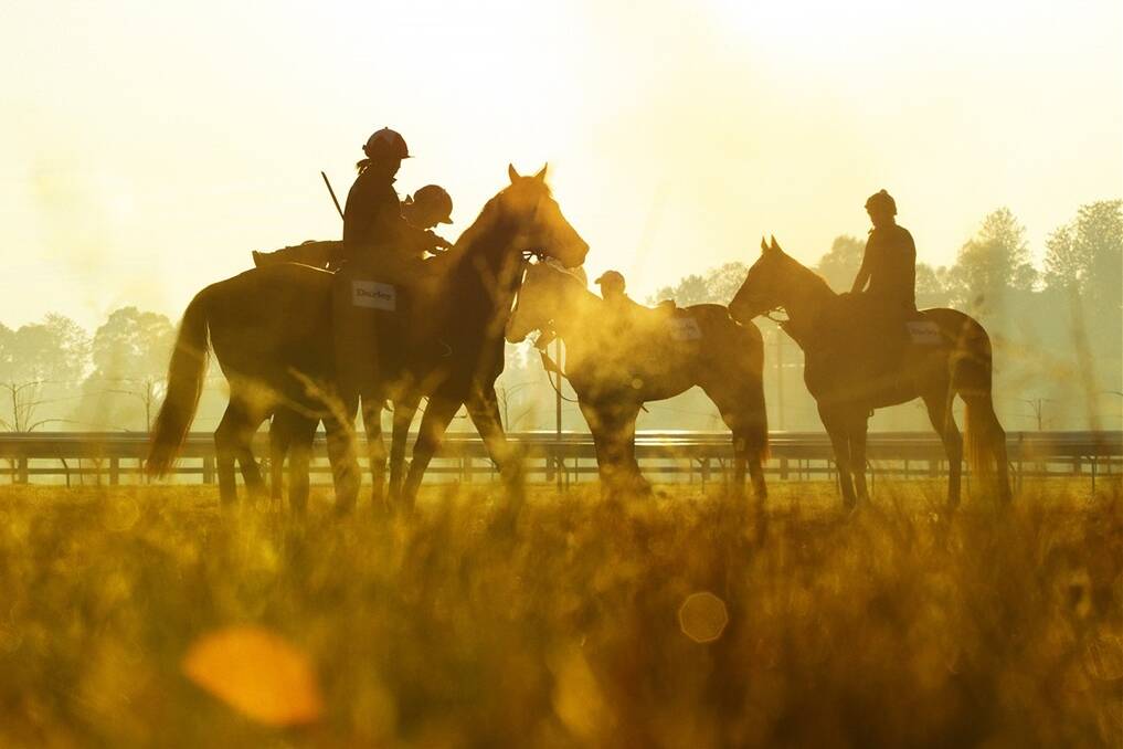 The Hunter thoroughbred industry has concerns over its future