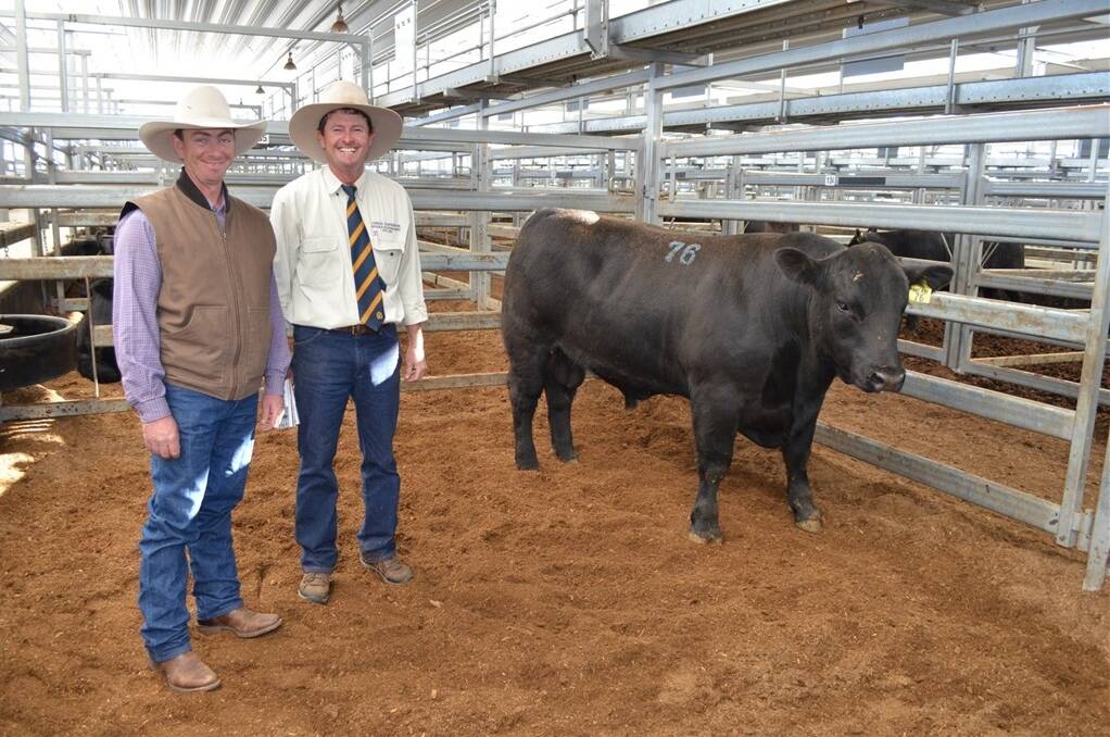 Cascade Angus overseer Todd Aitken with organising agent and vendor Chris Paterson, Heart Angus, "Sandown", Timbumburi, and the equal top-priced bull Heart Javan, who sold for $8000.