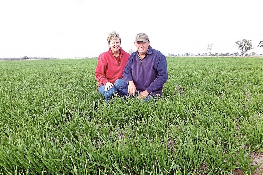 Jenny and Craig Bradley, “New Armatree”, Armatree, recently checking their Hindmarsh barley for issues like weeds, current soil moisture level and possible need for extra nitrogen. Craig Bradley stresses the importance of having a good knowledge of all these issues when making post emergence nitrogen decisions.