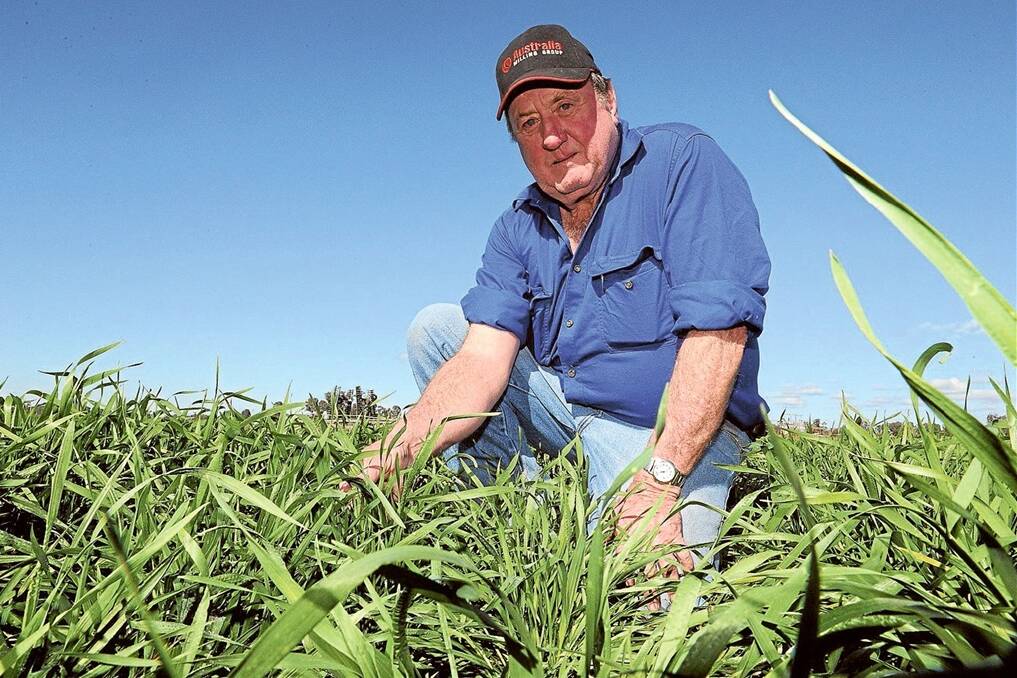 Ken Frater, “Millfield”, Narrabri, wants 50 millimetres to finish his wheat crop.