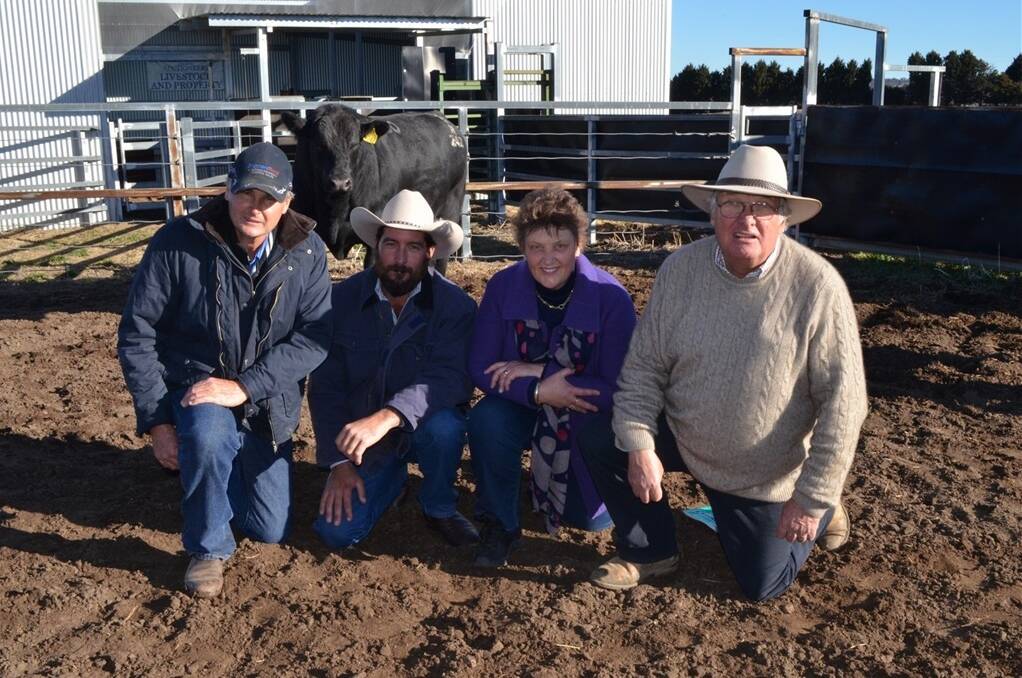 Agent John Sheppard, Sheppard Rural, Biloela, and volume buyer Russell Saunders, “Thuriba”, Wowan, with Dulverton Angus owners Sally and Greg Chappell, Shannon Vale Station, Glen Innes.