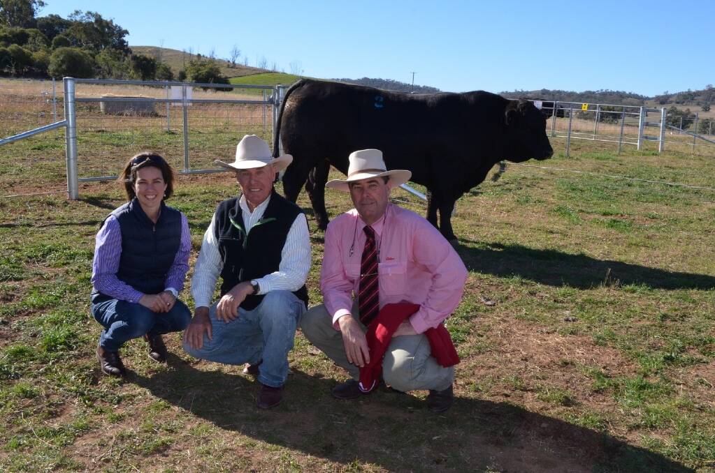 Emma McMaster, Strathleigh Black Simmentals and Angus, volume buyer Leon Cummins, "Clarendon", Barraba, and agent Brian Kennedy, Elders Studstock, with Strathleigh Hummer H33, one of four bulls purchased by Mr Cummins.