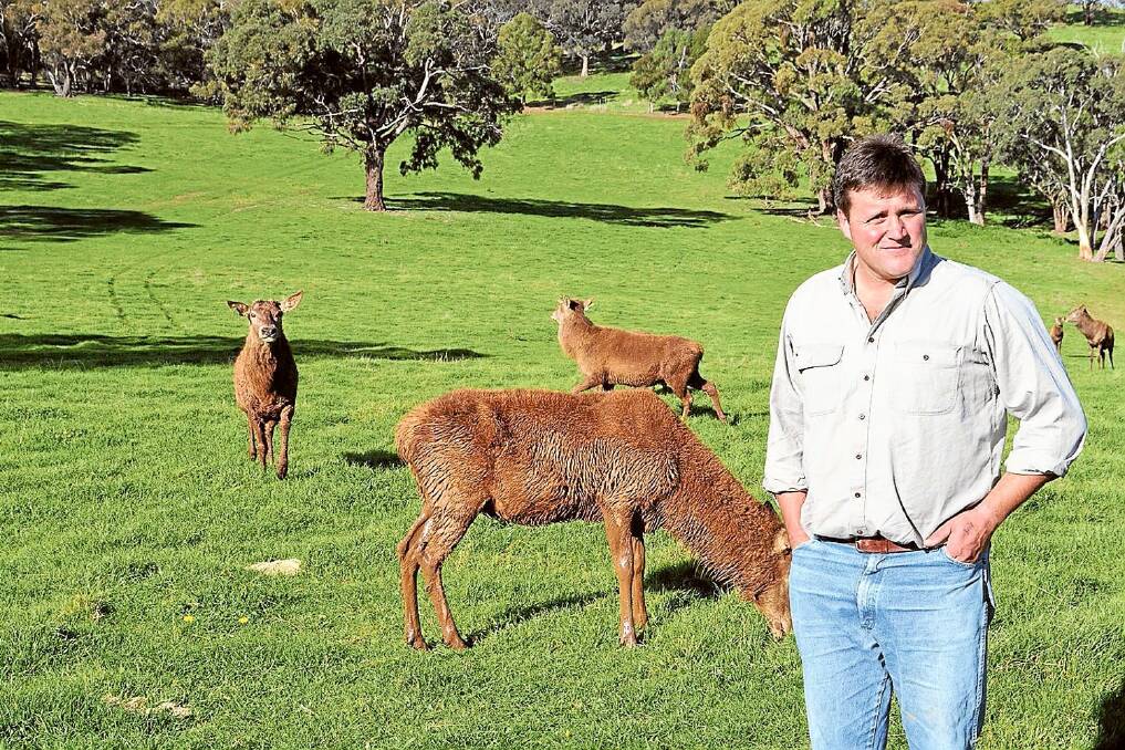 Tim Hansen pictured with red deer on “Rocklands”, Orange.