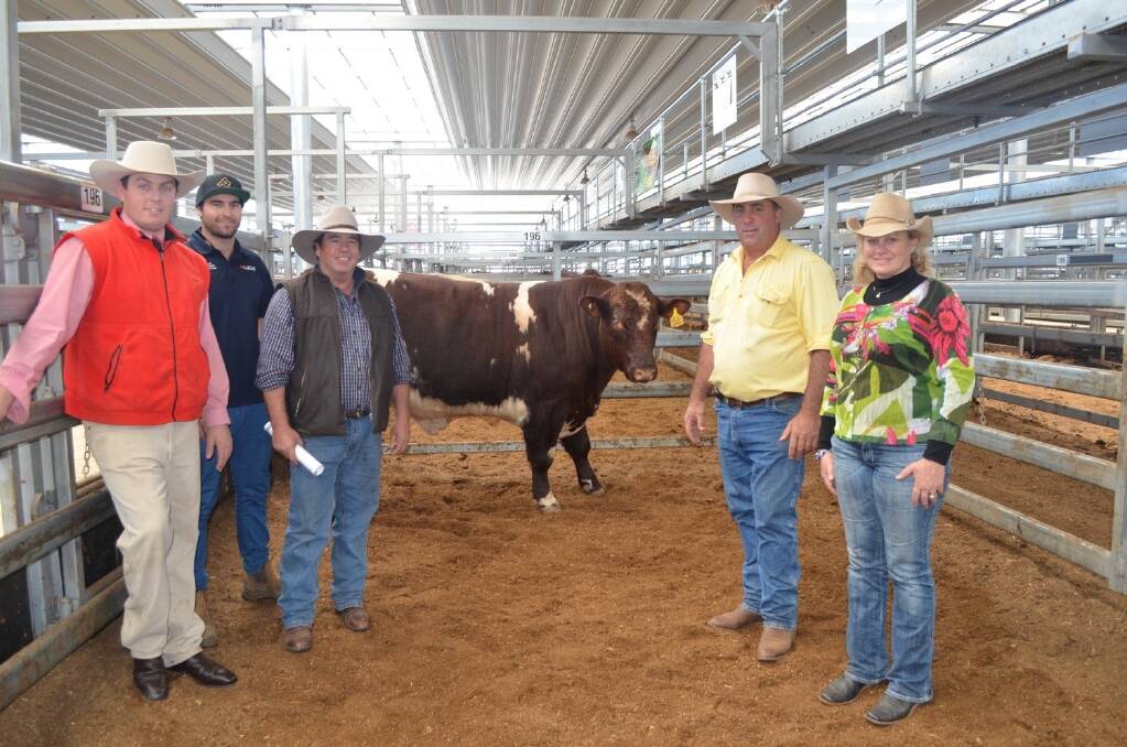 Nathan McConnell, Elders Tamworth, buyers Sam and John McDowell, Werris Creek Station and "Molgo", Coonamble, with vendors Peter and Lou Capel, Bungulla Shorthorns, "Calool", Manilla, who sold nine of their 12 bulls in the sale and a further two immediately after.