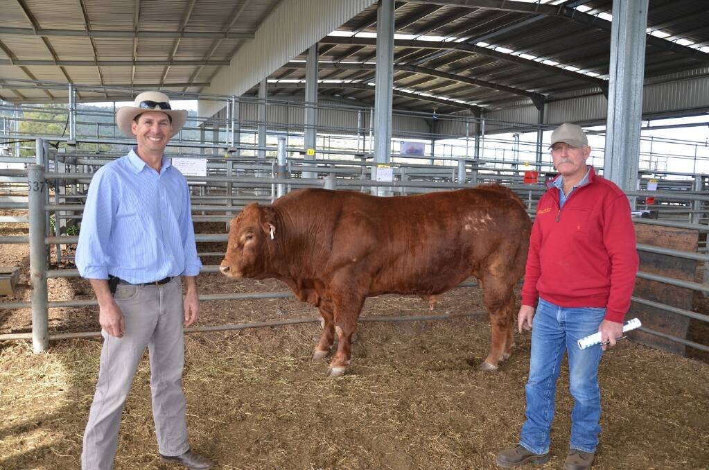 Vendor Pat Ryan, Meriden Limousins, with Gary Hedger, "Garren Park", Merriwa, who bought the top-priced bull