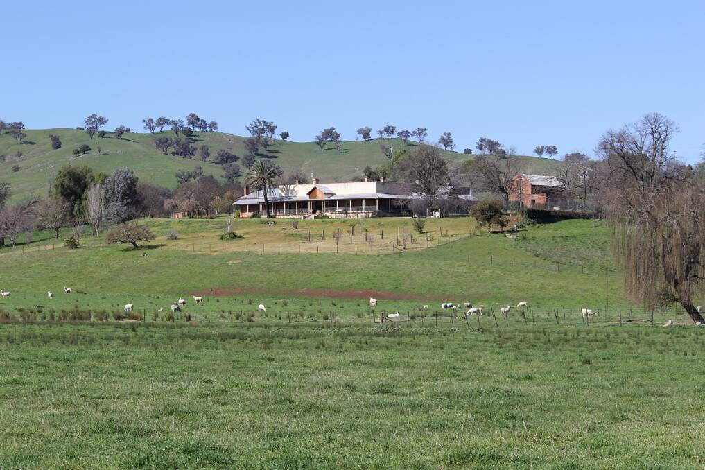 Gundagai's “Darbalara Homestead” heads to auction early next month – and with estimated carrying capacities of 80 breeders and 600 crossbred sheep across 60ha (150ac), production is clearly set to stand out for prospective buyers.