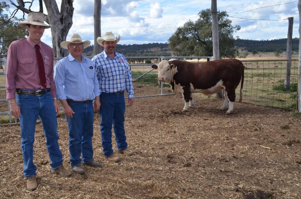 Auctioneer Robbie Bloch, C.L. Squires and Company, Inverell, buyer Andrew McIntyre, "Eastern River", Pinkett, and Mountain Valley Poll Herefords stud principal Ian Durkin with the top-priced bull, Mountain Valley Highjack, who sold for $11,000.
