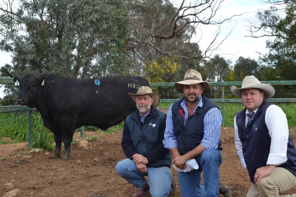 Gilmandyke Stud Manger Derek Hubert pictured with Conrad Strahorn, 'Stirling' Molong and auctioneer Michael Glasser, GTSM with the top priced bull Gilmandyke Hickeys H0171 