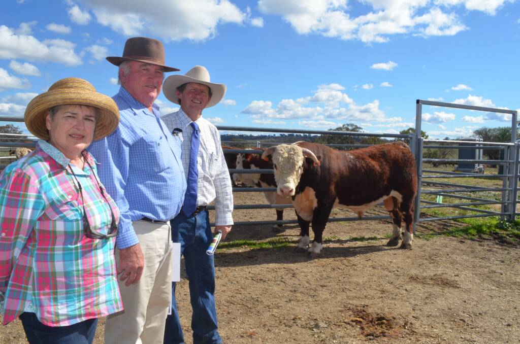Volume buyers Jill and Robert Reid, "Chudleigh", Howlong, with Thornleigh Herefords stud principal Ben Monie and the top-priced bull, Thornleigh Haddin, who sold for $6500.