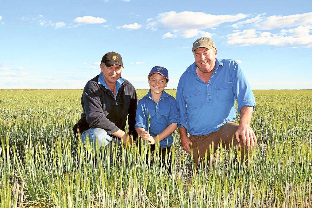 Andrew Crowe, “Sunbury”, Garah and friends Phil and Ted Tonkin “Nilgie Park”, Mungindi, inspect Mr Crowe’s barley.