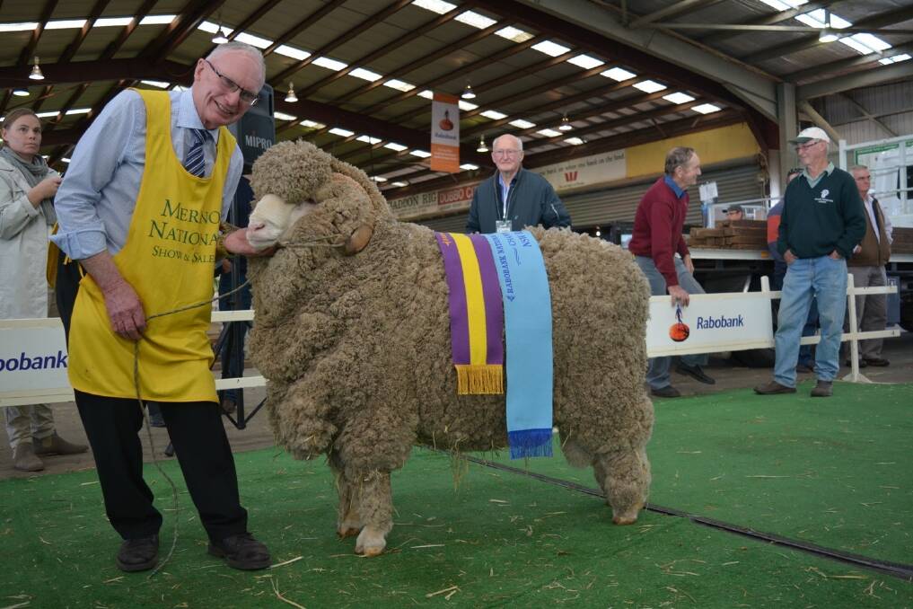 Max Rayner, Grathlyn Merino stud, Mudgee, with his supreme exhibit of the Rabobank National Merino Sheep Show and Ram Sale.
