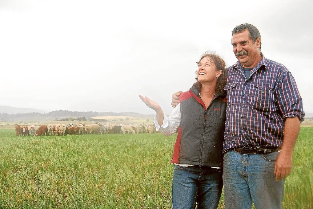 Northern Rivers Brahman breeders Grant and Jo Bulmer celebrate the 75mm-plus that has fallen on their June-planted oats at Cedar Point, near Kyogle, in the past fortnight.