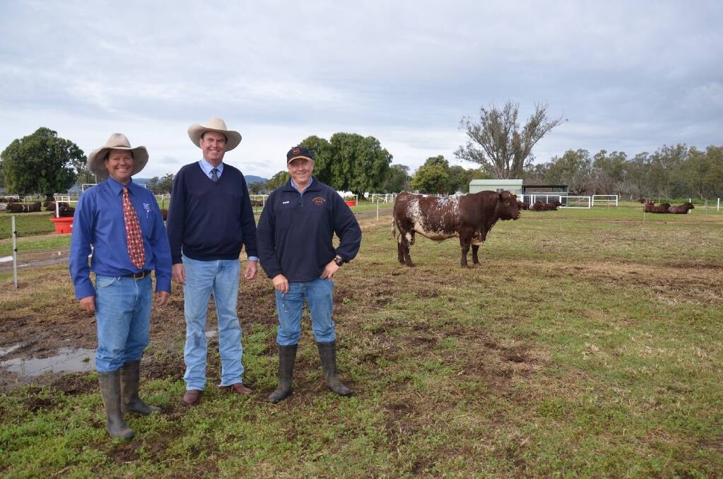 Vendor John Manchee with auctioneer Paul Dooley, Tamworth and top price buyer Mike Newton