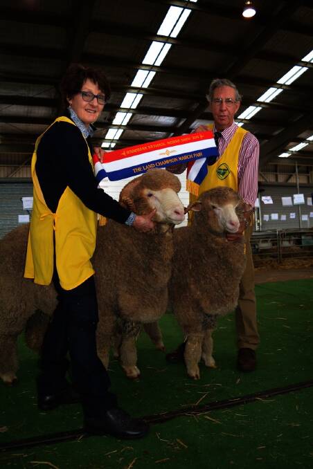 Mary and Graham Wells, One Oak stud, Jerilderie, with their March-shorn pair.