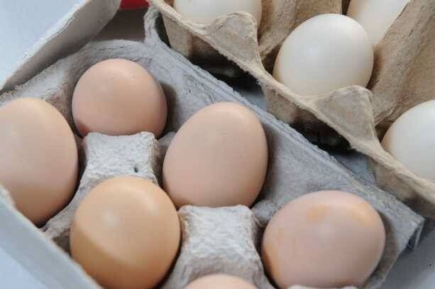 Egg stamping will soon be mandatory in NSW