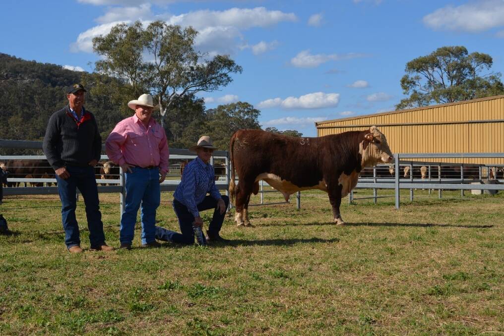 Steven Cadzow, Mount Riddock Station, Alice Springs, NT with buying agent Tim McKean Elders, Wagga Wagga, and Principal Jim Gunn with the top priced bull Sevenbardot Precede H360 
