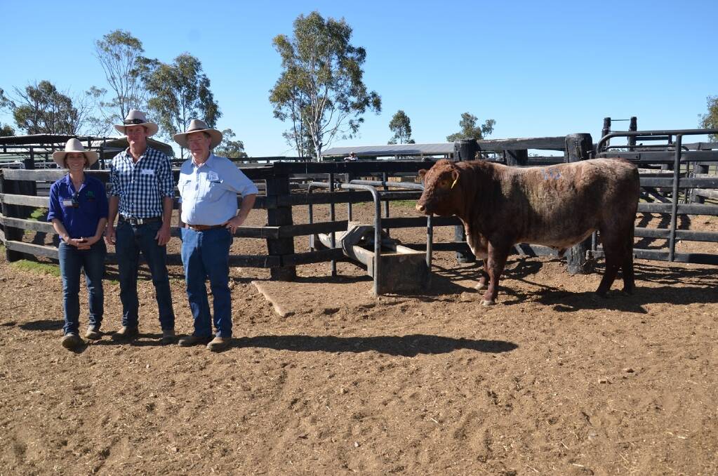 Jen Jeffreys with top price buyers Tom and David Stuckey , Condobolin, and  Weebolla H437