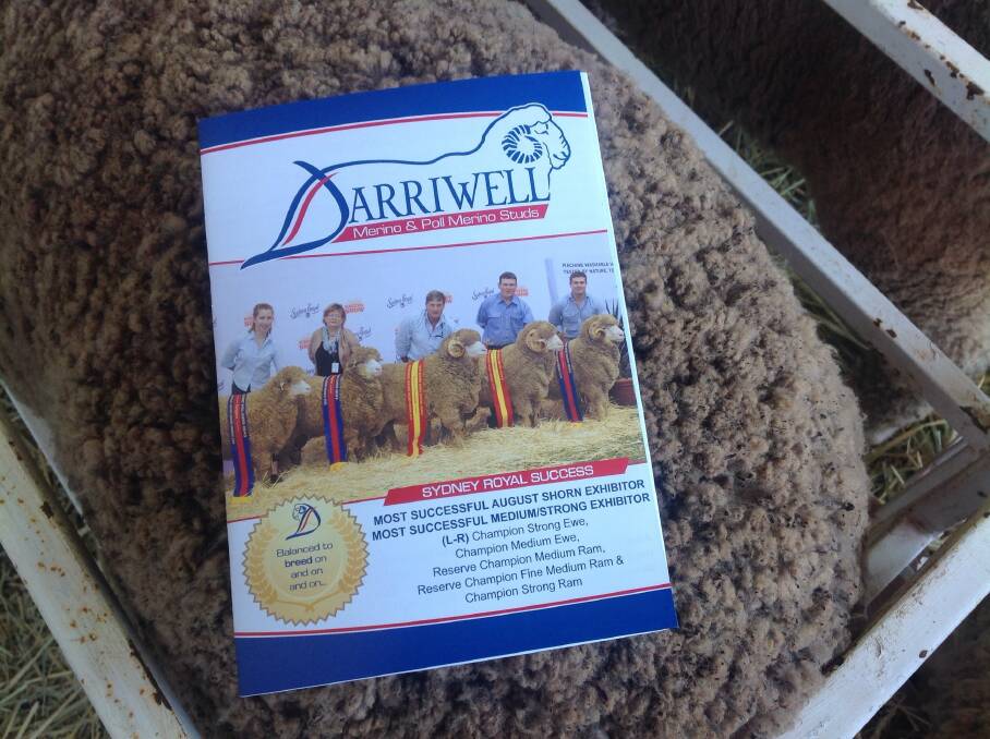 Darriwell 29th annual ram sale today