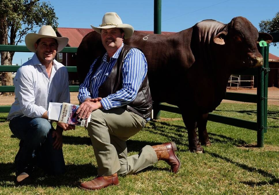 Top price bull Yarrawonga Drover sold for $45,000.Top price bull with vendor Andrew Andrew Bassingthwaighte and byer Rob Sinnamon general manager Yulgilbar station Baryulgil,NSW.