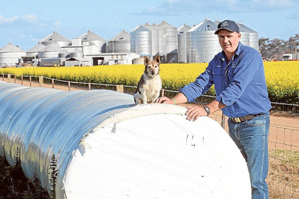 Andrew Goodde, Goodde Farms, Culcairn and dog Bundy on a Lucerne and Oaten silage sausage.