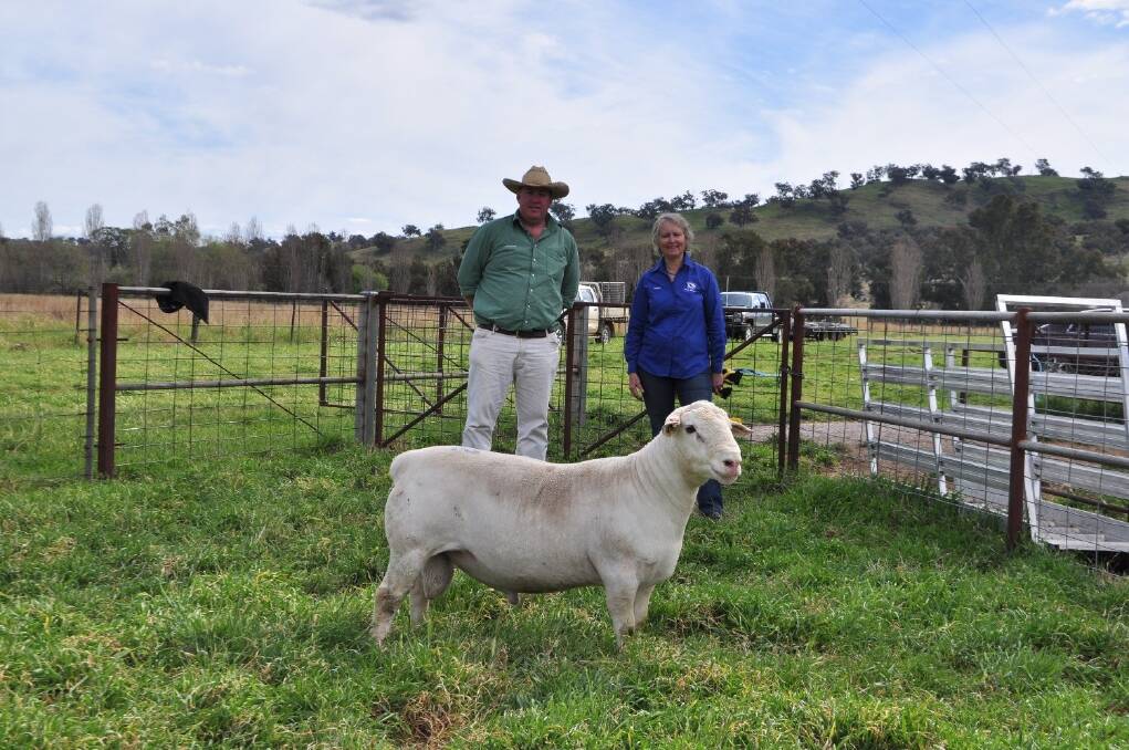 Dave East, Landmark Dubbo, with Susan Law and the top selling ram Matchless 130076, purchased by Dell Dorpers, Moama. 