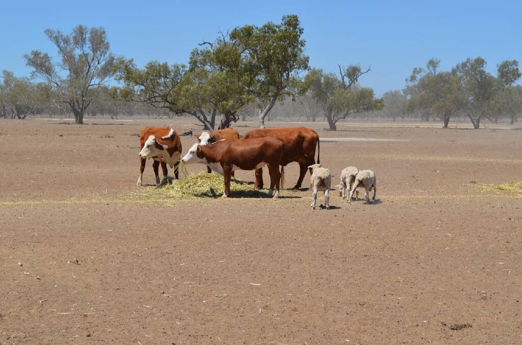 Landcare wants to help farmers prepare for the next drought.