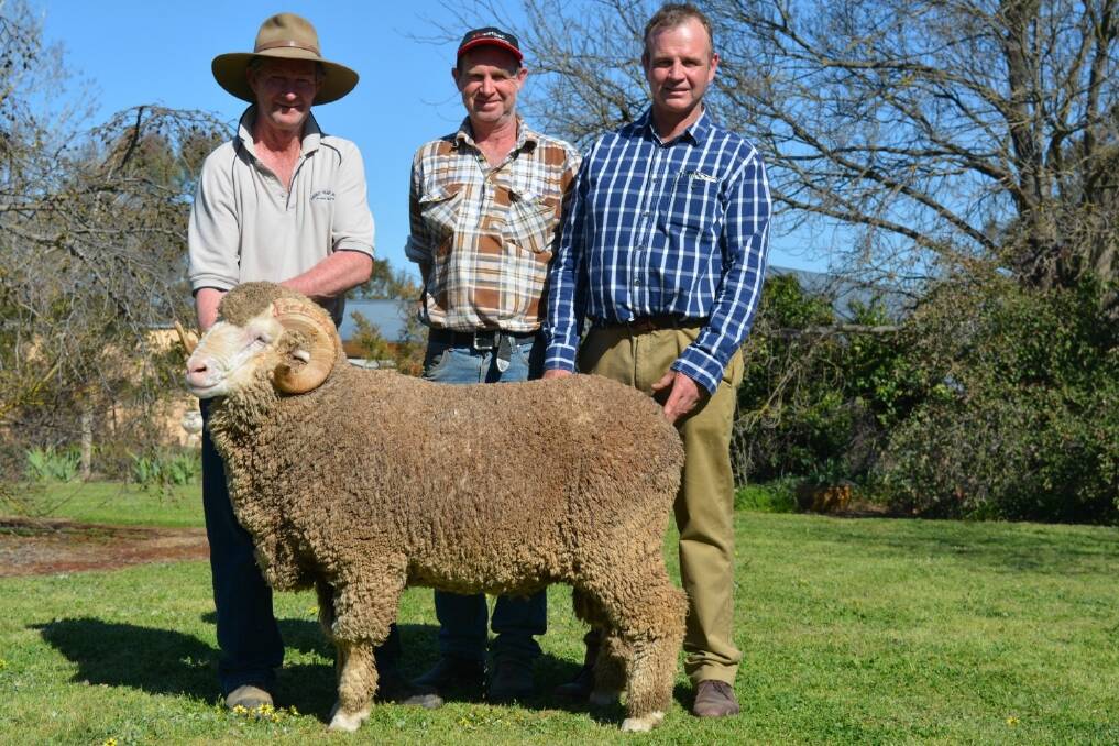 Patrick and Andrew Davis of Demondrille Merino stud, "Fairview", Harden and Tara Park stud principal, Guy Evans with the top priced $7400 ram at the Tara Park on-property ram sale. 