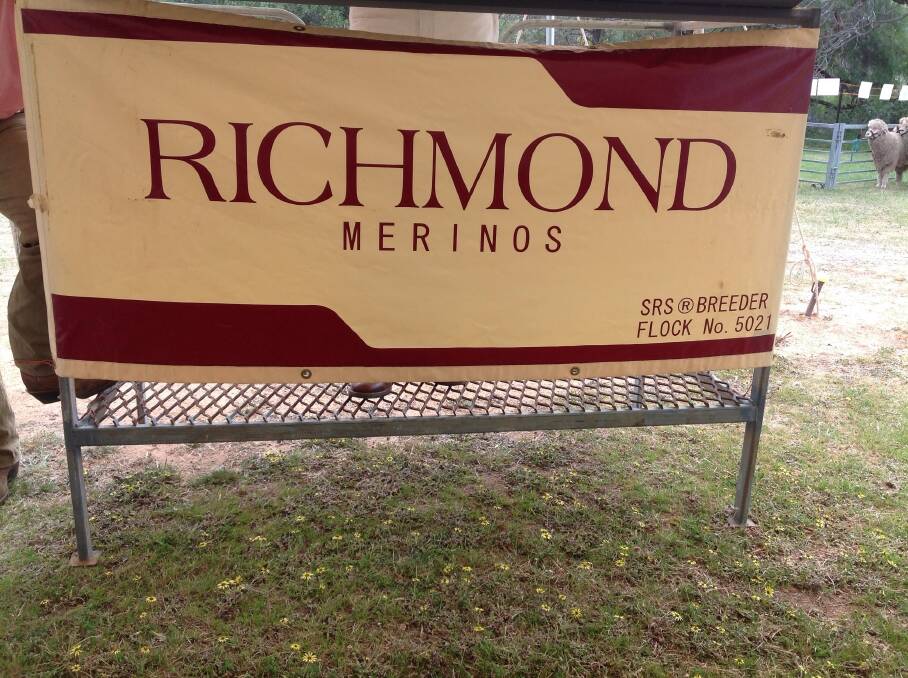 Richmond Merino rams top at $6000