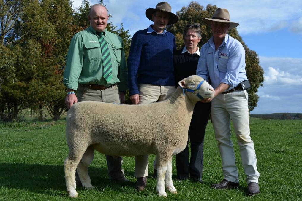  Top price buyers Ken and Norma Williams, Ashburnia Poll Dorsets, Four Mile Creek, with the $12,000 ram and auctioneer John Settree, Landmark (left) and Tattykeel principal Martin Gilmore (right)