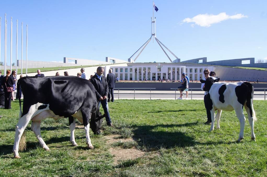 Ag leaders unite for dairy vision