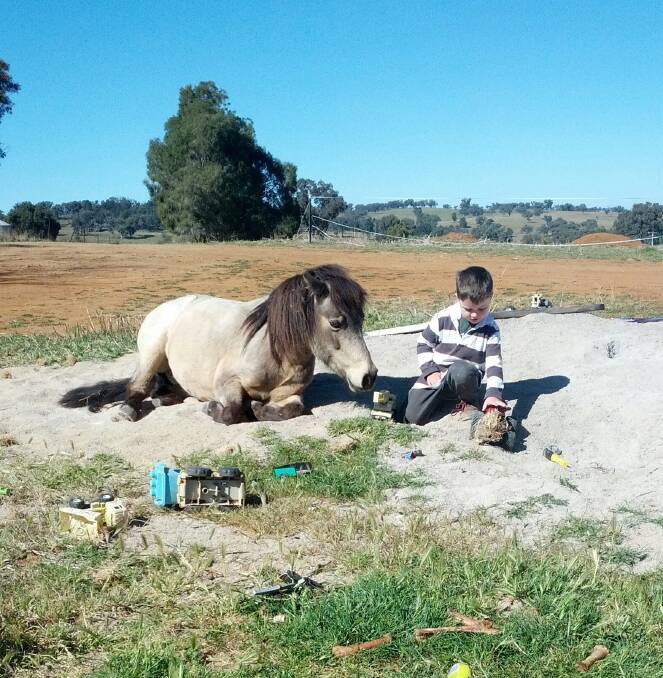 LIFE'S A SANDPIT: Chaddy the 20-year-old pony with four-year-old Angus Griffith, "Nelangie", Cudal. 