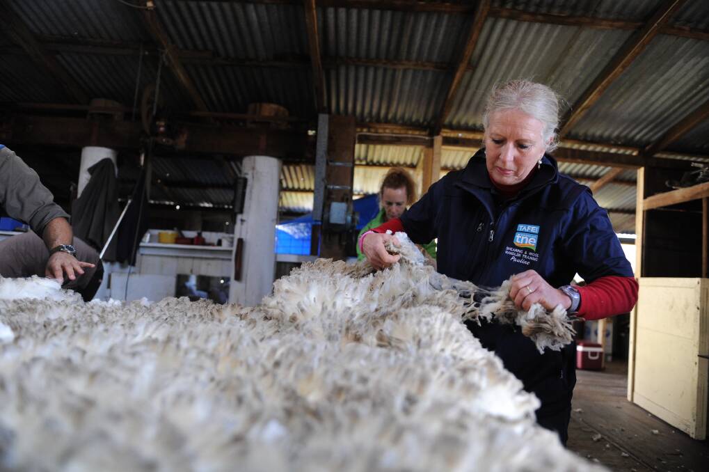 TAFE New England students learning wool handling, classing and shearing