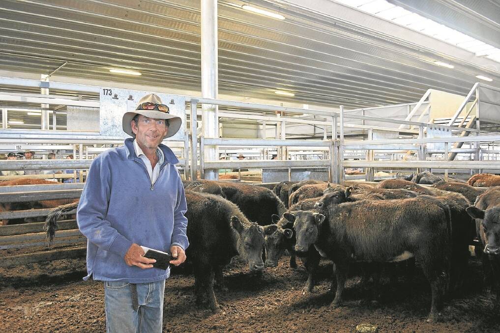 Tim Rowland-Jones with some of the cattle he bought at the Carcoar sale last Friday.